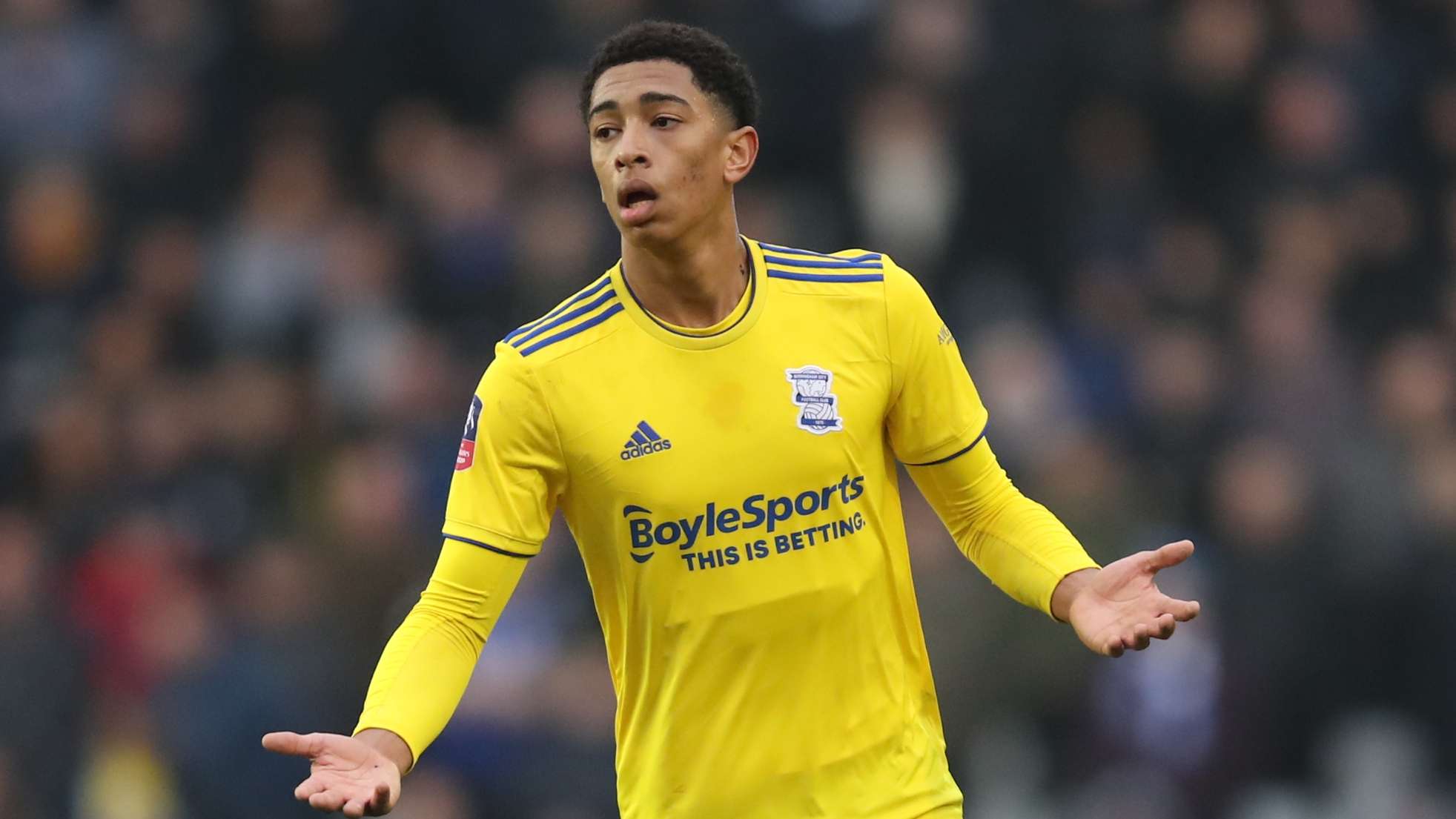 养的极致追 养的极致追